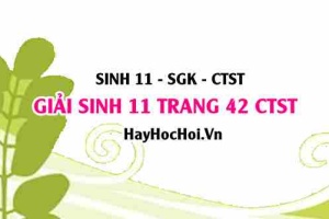 Giải Sinh 11 trang 42 Chân trời sáng tạo SGK